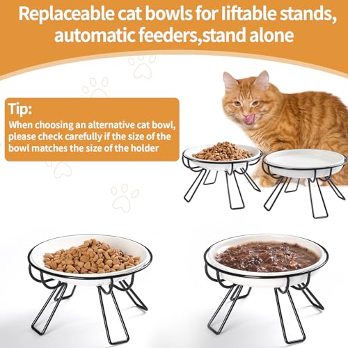 Presents The Ultimate Cat Dining Set: 5.9 inch Ceramic Water Bowl and Whisker-Friendly and Anti-Vomiting Plates.Elevated Bowl, Raised Ceramic Dish with Metal Stand - color: Food Bowl+Water Bowl