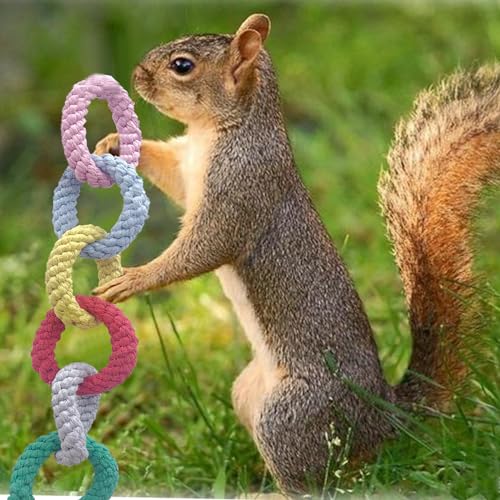 Sugar Glider Hanging Six-Ring Swing Toys And Climbing Rope Cage Accessories For Sugar Glider, Ferret, Hamster, Squirrel, Chinchilla, Parrots Exercising