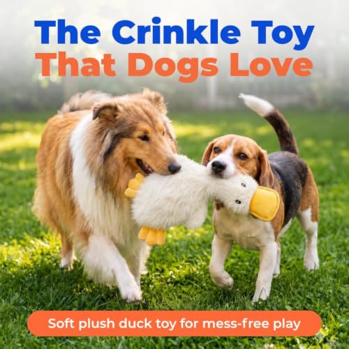 Best Pet Supplies Interactive Squeaky Dog Toy - Crinkle Duck, White | Stuffing Free Body, Soft, Squeaks & Crinkles, No Mess, Perfect for Moderate Chewers, Toss and Fetch Play - color: Crinkle Duck (White), size: Large