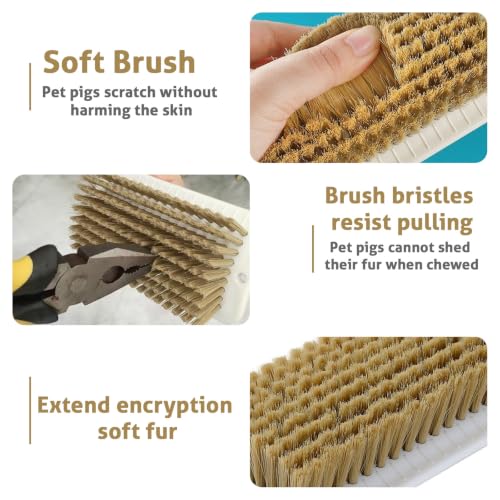 Toys for Pigs, Enrichment scratching Brush, Stress Relief for Pets | 2 Pcs Self-Grooming Tool, Increase Enjoyment, Pet Pig Supplies, Outdoor, for Pigsties, Fences, Wooden Stakes and Courtyards