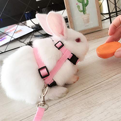 6 Pack Adjustable Cat Leash Harness Leash,Bunny Harness Leash for Pet Safety Walking Running Jogging,HarnessLeash for Bunny cat Puppy Kitten Ferret and Other Small Pet Animals