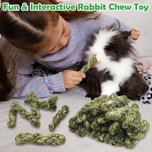 Hamiledyi 30 PCS Rabbit Chew Sticks Natural Grass Timothy Hay Sticks Handmade Guinea Pigs Chew Toys for Teeth Molar Snacks for Chinchilla Bunny Hamster and Other Small Animals - size: 0.48 Ounce (Pack of 30)