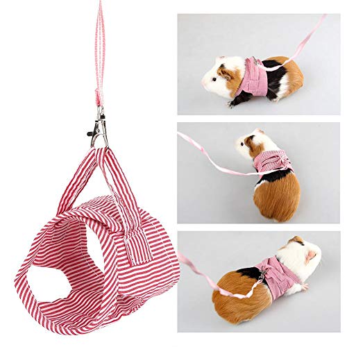 Squirrel Vest Harness Small Pet Harness and Leash Set Soft Adjustable Outdoor Walking Vest for Guinea Pig Chinchilla Ferret Rabbit S Red