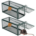 Qualirey 2 Pcs Humane Rat Trap Chipmunk Rodent Mouse Squirrel Trap,Green | 9.1 x 4.5 x 4.5 Inches Mouse Voles Hamsters Cage Rat Cage for Mice Easy to Catch and Release - color: Green