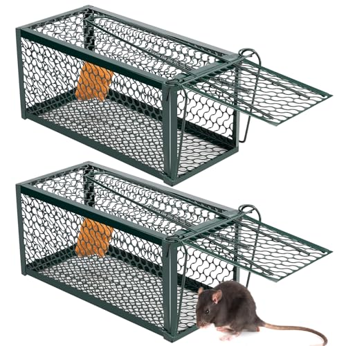 Qualirey 2 Pcs Humane Rat Trap Chipmunk Rodent Mouse Squirrel Trap,Green | 9.1 x 4.5 x 4.5 Inches Mouse Voles Hamsters Cage Rat Cage for Mice Easy to Catch and Release - color: Green