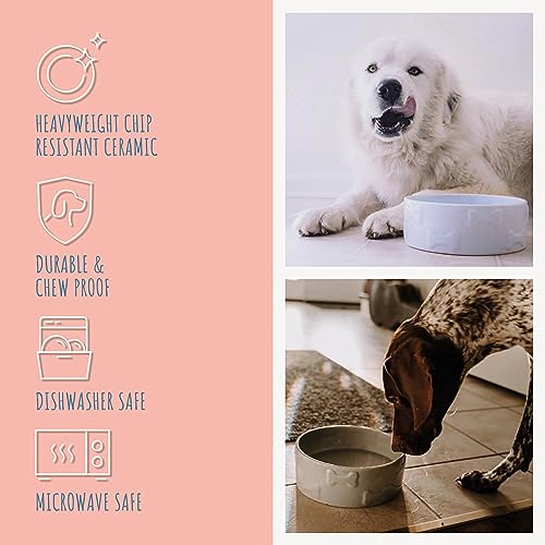 Manor Pet Bowl, Ceramic Dog and Cat Bowl, 4 Cup Capacity, Medium, Grey, Dishwasher and Microwave Safe - color: Grey, size: Medium