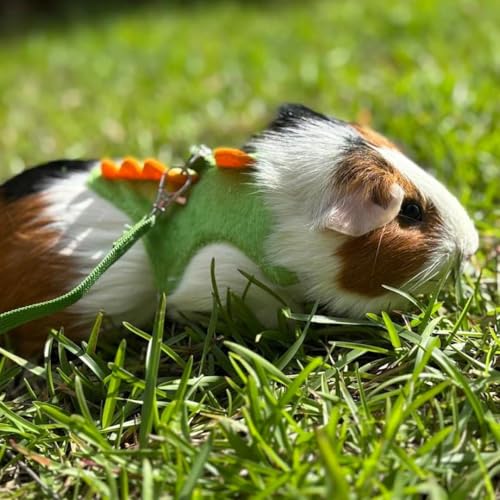 Ferret Harness and Leash Set Dinosaur Shaped Guinea Pig Leash Hedgehog Hamster Rat Harness Adjustable Ferret Stuff Hedgehog Accessories for Rabbit Bunny Teacup Chihuahua Mouse Small Pet, Green