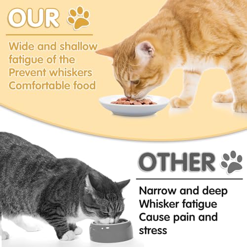 6 Pack Cat Food Bowl, Ceramic Cat Bowls, Anti Whisker Fatigue Cats Bowl Set | 5.5 Inches Shallow Wide Kitten Plates for Food and Water (White-C) - color: White-C