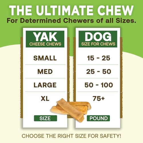 EcoKind Yak Cheese Himalayan Dog Chews, Yak Chews for Large Dogs, 4-5 Bones | 1 Lb, Long Lasting for Aggressive Chewers, Only 3 Ingredient Natural High Protein Dental Dog Treats, No Additives or Lactose