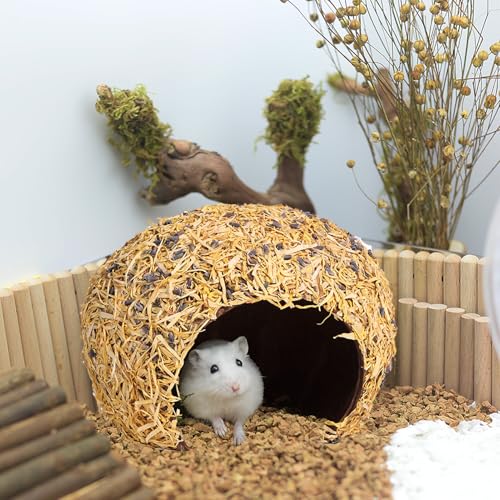 Hamster Hideout - Large, Natural Flowers, Handcrafted for Syrian Hamsters, Rats & Guinea Pigs, Safe & Eco-Friendly (Flower,Large) - size: Flower, Large