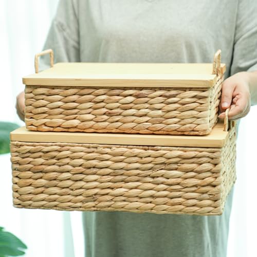 Handmade Water Hyacinth Woven Storage Basket with Lid, Multi - Functional Wicker Organizing Baskets (Set of 2) - size: Large and Small (Set)