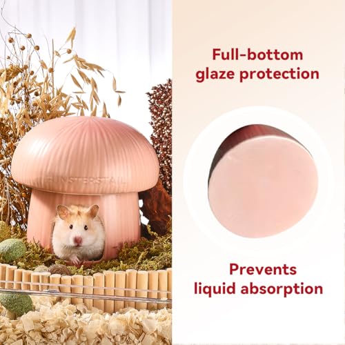 Ceramic Hamster Habitat Hideout