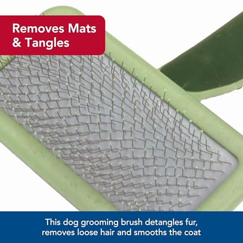 Coastal Pet Safari Dog Soft Slicker Brush - Dog Grooming Brush for Shedding - for Dogs with Short, Medium and Long Hair - Large - 6.75" x 4.375" - size: Large