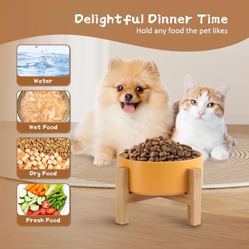 Elevated Ceramic Cat Bowl - Cat Food Bowl with Bamboo Stand - Raised Dog Dish for Puppies - Anti Vomiting, Stress Free - 13.5 oz / 400 ml - Yellow - color: Yellow, size: Small