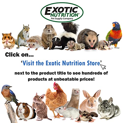 Exotic Nutrition Silent Runner Glow Wheel - 12" Regular - Silent, Fast, Durable Exercise Wheel - Sugar Gliders, Hamsters, Female Rats, Mice & Small Pets - size: Wheel