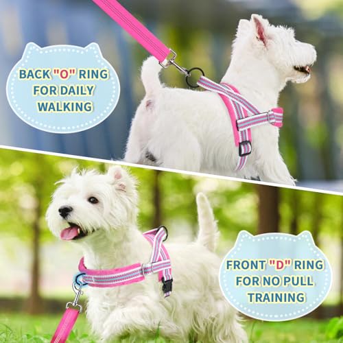 Lukovee Small Dog Harness and Leash Set, No Pull Soft Padded Vest | Both Neck & Chest Adjustable, Reflective, Puppy Harness with 4ft Lightweight Anti-Twist Dog Leash for Small Dogs (Fuschia, S) - color: Fuchsia - with Stripe, size: S ( Chest 17.5'' ~ 22''