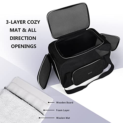 BAGLHER Pet Travel Carrier, Cat Carriers Dog Carrier for Small Medium Cats Dogs Puppies, Airline Approved Small Dog Carrier Soft Sided, Collapsible Puppy Carrier. Black - color: Black
