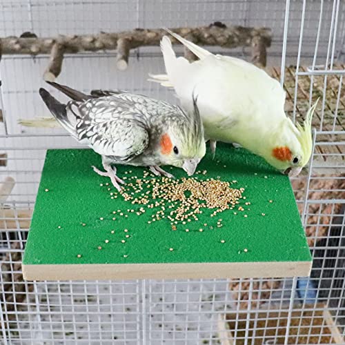 Dnoifne 7.9×5.9 Inches Large Bird Perch Stand Platform, Natural Wooden Bird Cage Accessories, Bird Stand Perch with Rough Quartz Sand Surface for Parrot, Parakeet, Budgies, Cockatiel, Rats - size: 7.9 × 5.9 Inches Green