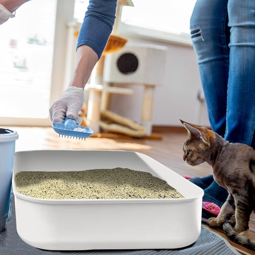 Small Litter Box, Plastic Kitten Litter Box, 13.9 x 9.8 x 3 Inch Open Litter Box for Small Pet, Easy to Clean (White 4PCS) - color: White 4PCS