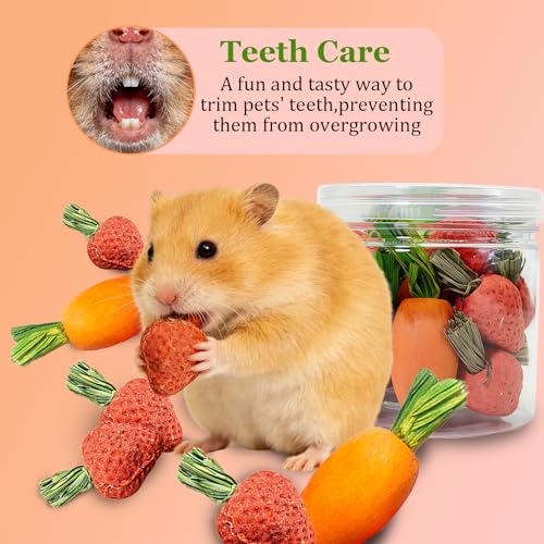 Hamiledyi Hamster Chew Toys Rabbit Chew Toys for Teeth Guinea Pig Treats Enrichment Habitat Decor for Bunny Chinchilla Gerbil Rat (13 Pcs) - size: 13 Pcs