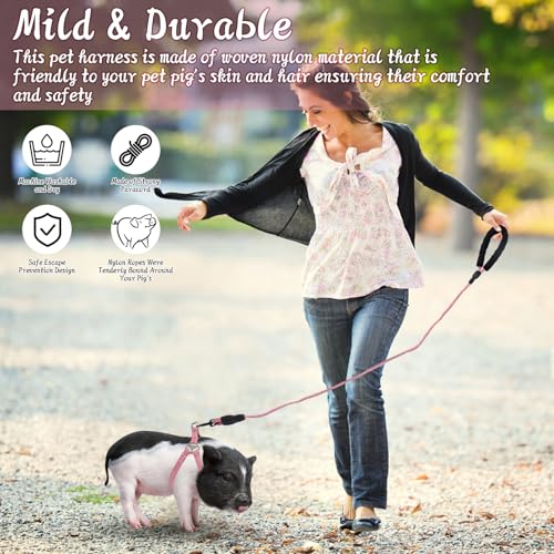 YeeBeny Mini Pig Harness Adjustable with Leash Foam Handle Pink, M | Adjustable Small Pig Harness with Leash Infinity Style Lead and Soft Foam Handle for Walking Training Jogging - color: Pink, size: M