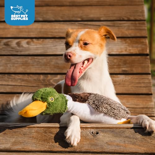 Best Pet Supplies Interactive Squeaky Dog Chew Toy, Ideal Dog Toys for Chewers, Small, Medium & Large Dogs, and Fetch Lovers - Mallard Duck (Brown), Large - color: Mallard Duck (Brown), size: Large