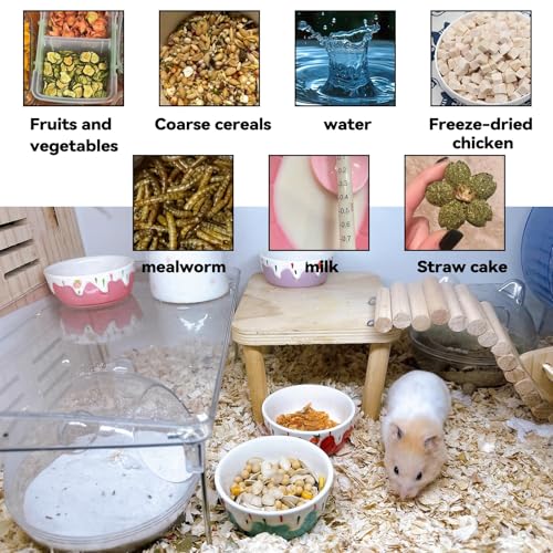 4 Pack Hamster Food Bowl Small Animals Ceramic Food Water Bowl Prevent Tipping Moving for Gerbil Chinchilla Hedgehog Rat - color: Pink + Red+Purple + Blue