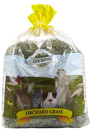 Oxbow Orchard Hay, Rabbit & Guinea Pig Hay, Hand-Sorted, De-Dusted, 40 oz | Hand-Sorted, De-Dusted, Oxbow Orchard Grass Hay, Bunny Hay For Rabbits, Guinea Pigs, Bunnies and Chinchillas, Made in USA - size: 40 Ounce (Pack of 1)