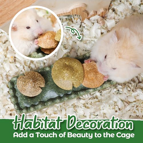 TEEWY Guinea Pig Chew Toys, Prevent Teeth Overgrowth, Natural Timothy Grass & Vegetables, Hamster Chew Toys, Guinea Pig Toys, Chinchilla Toys, 4PCS, Grass Patch & Mushrooms - style: 4PCS-Grass Patch & Mushrooms