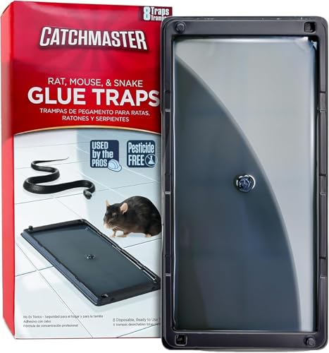 Catchmaster Rat, Snake and Mouse Traps 8Pk, Large Bulk Glue Rat Traps for Home, Adhesive Plastic Tray for Inside House, Snake, Mice, & Spider Catcher, Pest Control for House & Garage - size: 8 Pack, style: 8 Regular