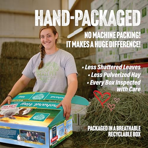 Small Pet Select Orchard Grass Hay Pet Food, 20 Lb. - size: 20 Pound (Pack of 1)