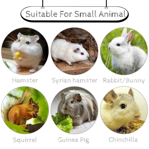 Hamiledyi 20 Pcs Chinchilla Lava Blocks Rabbit Chew Toys | Bunny Lava Teeth Grinding Stone Small Animal Mineral Calcium Stone for Hamsters Rabbits Chinchillas Squirrels Rats Parrots - size: 1.57 Inch Diameter