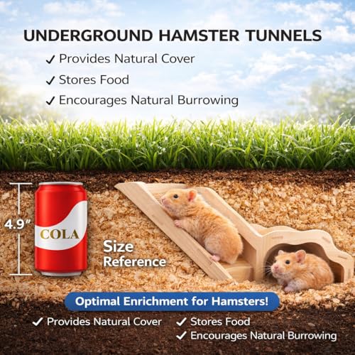 Small Size Hamster Explorer Set - Snap-Together Wooden Burrow with Panoramic Window, Natural Chew-Safe Design & Underground Activity Viewer for Cage Enrichment