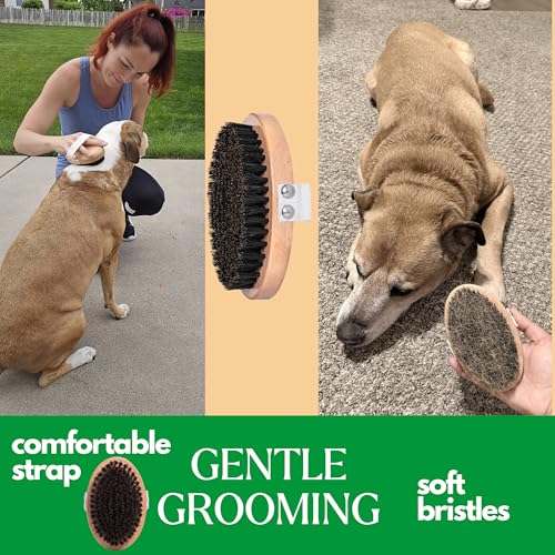 GranNaturals Soft Bristle Dog Brush for Short Haired Dogs & Cats w/Strap - Wooden Handle & Gentle Boar Bristles for Deshedding, Smoothing and Grooming Pet Hair Fur to Give Naturally Shiny Coat