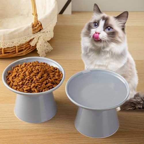 Ceramic Elevated Cat Bowls - 6.2 Inch Extra Wide Raised Cat Food and Water Bowl Set for Indoor Cats, Whisker-Friendly Ceramic Cat Dish for Elder Big Cats & Small Dogs,Light Purple,2 Pack - color: Light Purple, size: 2 Pack