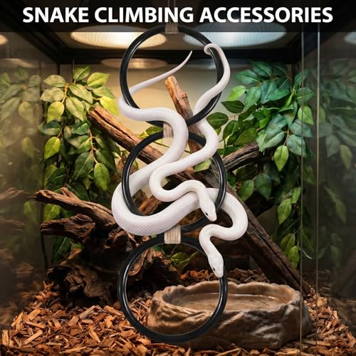Snake Climbing Rings for Ball Python, Enrichment Toys for Corn Snake, Reptile Enrichment Climbing Ring, Reptile Tank Accessories for Terrarium, Bearded Dragon, Chameleon, Iguana, Gecko, Lizard, Parrot
