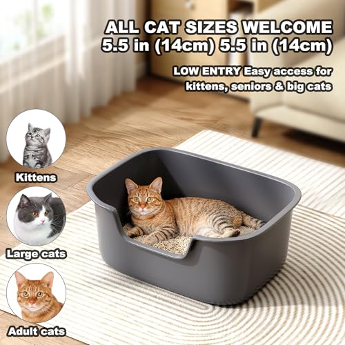 Large Open Cat Litter Box with High Sides, Anti-Splashing for Indoor Cats, Low Entry for Kittens & Elderly Cats, Spacious Litter Pan, Tool-Free Assembly(21.7” * 16.5” * 8.5” Green) - color: Green