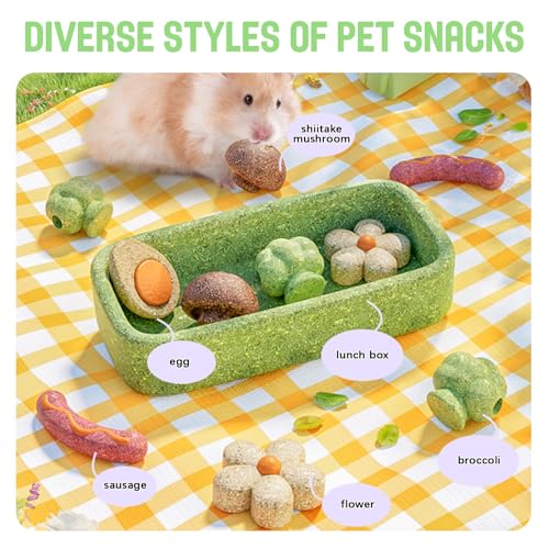 Hamster Chew Toys for Teeth,Hamster Treats 5pcs(Forest Theme) | Made with Natural Timothy Grass & Vegetables,Improve dental health for Hamster,Guinea Pig,Bunny, Chinchilla Small Animal Toys