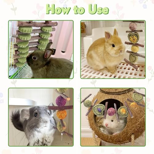 Hamiledyi Bunny Chew Toys Rabbit Hanging Toys for Teeth Grinding Rabbit Toys Natural Fruit Sticks Timothy Grass Cakes Chew Toys and Treats Improve Dental Health for Guinea Pig Hamster Chinchilla - style: Style C