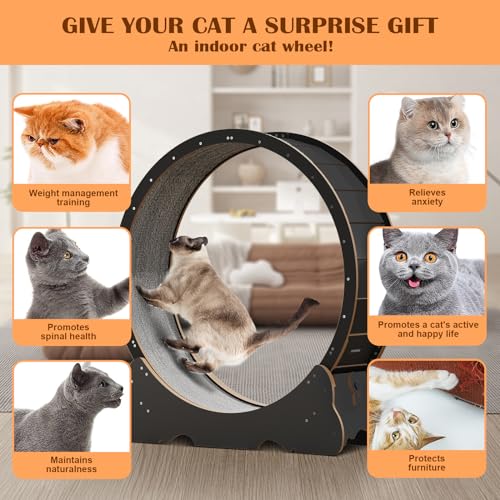 Cat Wheel, 48" XL Large Cats Exercise Running Wheel, Cat Treadmill for Indoor Cats - color: Black, size: XL