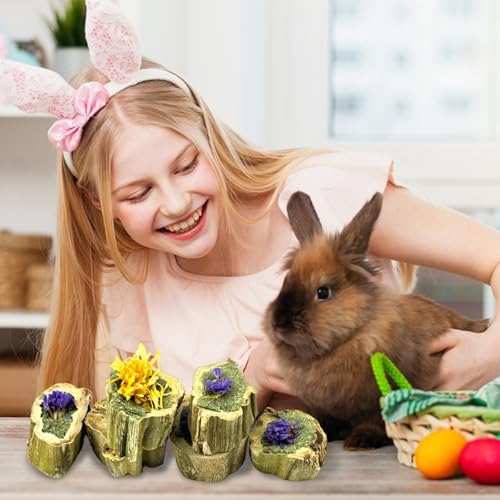 PINVNBY Natural Rabbit Chew Toys, Papaya Wood & Timothy Hay Molar Treats for Bunny Guinea Pig Hamster Chinchilla, Teeth Grinding Snack(3.5oz/100g)