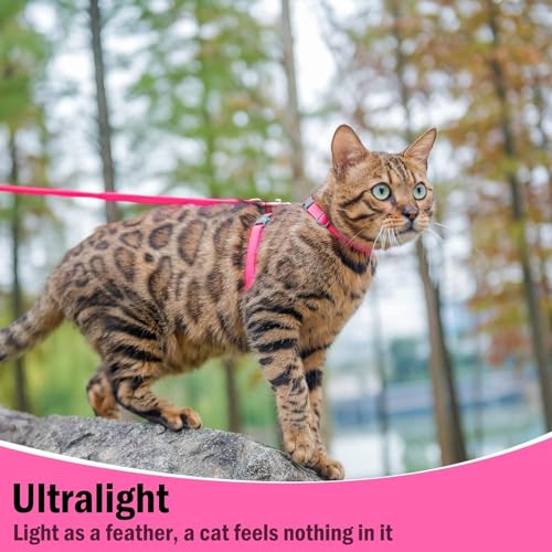 PUPTECK Adjustable Cat Harness and Leash Set Escape Proof Kitten Strap Collar for Walking Travel, Hot Pink, M - color: Hot Pink, size: Medium