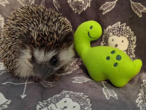 Billy the Bronto Dino Chibi Kawaii Mint Stuffed Fleece Hedgehog Rat Guinea Pig Degus Chinchilla Enrichment Toy Small Animal Photo Prop Cage Buddy Mint Stick Alternative