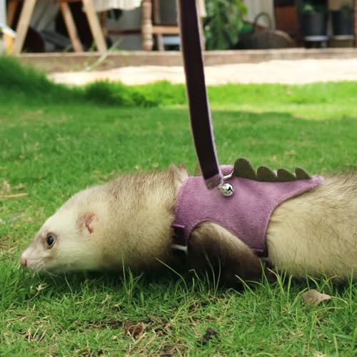 Bearded Dragon Harness and Leash Set - Soft Fleece Dinosaur Vest with Safe Bell Adjustable Lizard Traction Rope Escape Proof Outdoor Walking Training Leash for Ferret Rat Kitten Puppy (Purple) - color: Purple