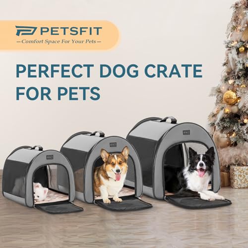 PETSFIT Portable Dog Crate, Travel Dog Crate - 19 Inch Lightweight, Roomy, Easy to Set Up, Sturdy Collapsible Dog Kennel with Thick Mat, Grey - color: Grey, size: 16.5"L x 16.0"W x 19.0"H