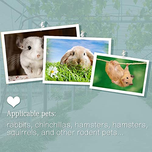 8Pieces Rat Lava Block Chinchilla Bites Calcium Cubes Stone Hamster Grinding Teeth Supplies Mineral Pumice Chew Toy for Gerbil Guinea Pig Mouse