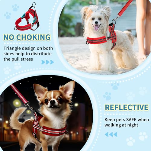 SlowTon No Pull Small Dog Harness and Leash Set with Front Clip | Soft Padded, Neck & Chest Adjustable, Lightweight, Anti-Twist, Puppy Vest Harness Pet Lead Combo for Small Medium Dog, R S - color: Red, size: Small