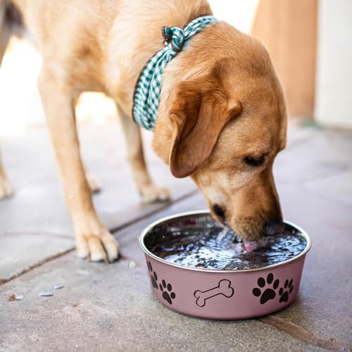 Loving Pets Bella Dog Bowls- Stainless Steel Dog & Cat Bowls - Spill Proof Dog Food Bowl, Cat Bowl, Puppy Essentials & Pet Supplies Great for Home & Travel (Large 35-65 lbs, Grape) - color: Grape, size: Large (35-65lbs)