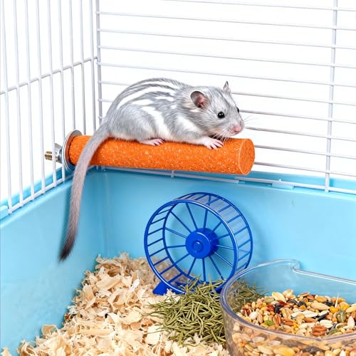 6 Pcs Wood Sugar Glider Toys, Small Animal Climbing Steps, Hamster Climbing Cage Steps, Sharpening Claws for Cages Suitable, Colorfu