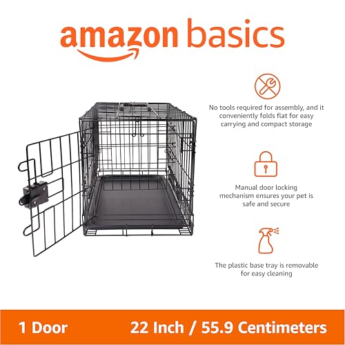 Amazon Basics Portable, Foldable Metal Wire Dog Crate with Removable Tray, Single Door, Divider Panel, Collapsible for Travel, 22 x 13 x 16 in, Black - size: 22.0"L x 13.0"W x 16.0"H, style: Single Door w/ Divider